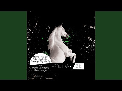 Strange Signals (Original Mix)