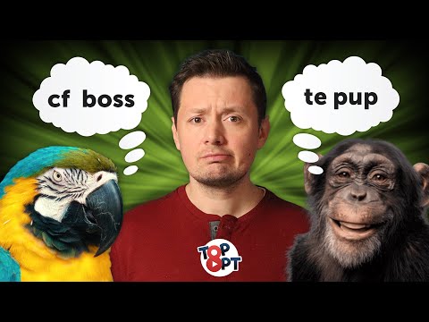 Cum sa COMUNICI cu ALTE SPECII!