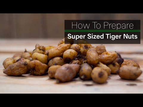 How To Prepare Super Sized Tiger Nuts