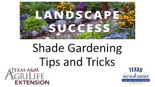 Shade Gardening -Tips and Ideas (05.23.2025)