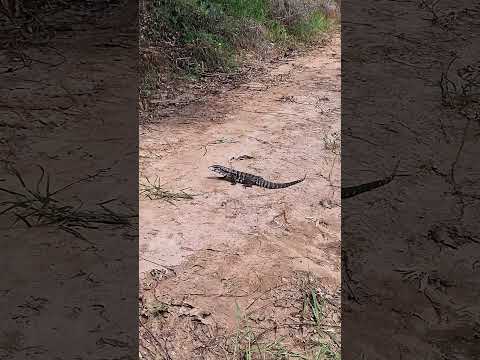 pedal na Cachoeira Quebra Tudo em Álvaro de Carvalho-SP