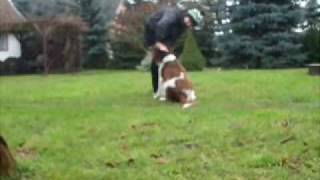 Ein Herz und eine Seele.