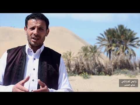 ١٩ مارس، ٢٠١٩