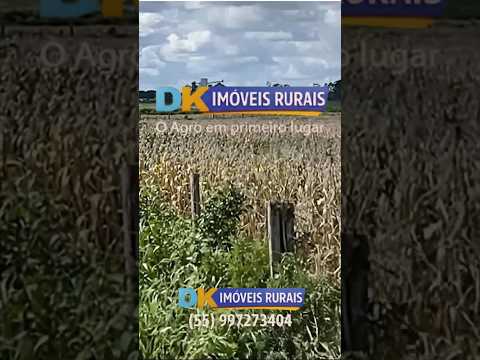 🌾 PRODUZA MAIS EM UMA DAS MELHORES REGIÕES AGRÍCOLAS DO RIO GRANDE DO SUL