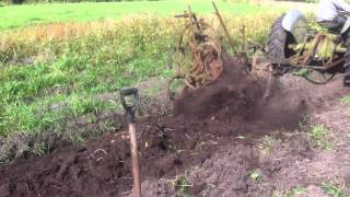 Digging Potatoes Cloonfinaun Swinford Co Mayo with a Star Digger No  2