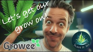 Cannabis: Plant Management and LST