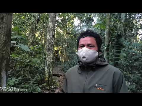 Parque Nacional del Manu