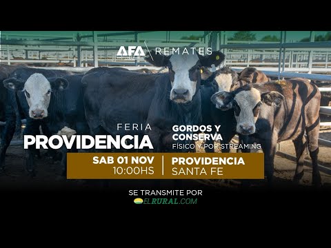 Remate AFA Gordos y Conserva desde Providencia Santa Fe