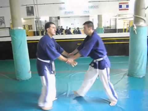 YOSEIKAN BUDO - F.C.K.B.M.T.