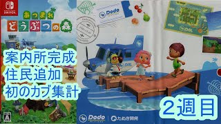 けだっくのあつ森実況2週目