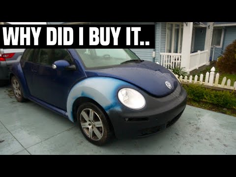 I bought a 2006 New Beetle TDI and couldn't believe what I saw... + Video updates!