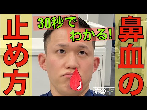 犬の鼻血を止める方法