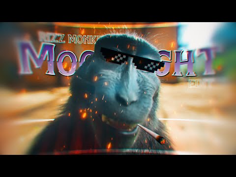 MOONLIGHT 🌕| The BEST Monkey RIZZ Edit You'll EVER See (4K)