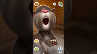 Talking Tom Cat #shorts
