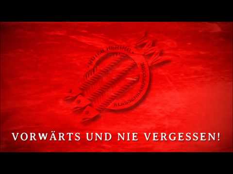 ROTER HERING - No going back