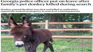 Police Kills Baby Donkey — Full Breakdown & Transcript