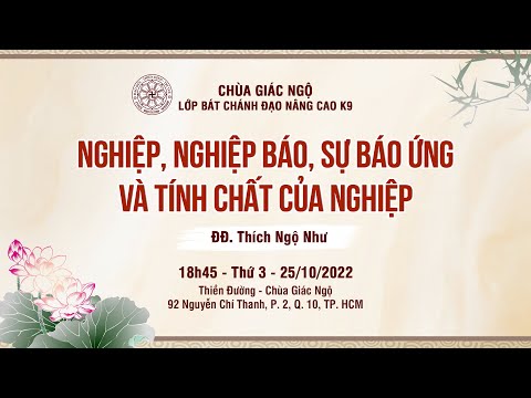 Nghiệp, nghiệp báo, sự báo ứng và tính chất của nghiệp - Thầy Ngộ Như giảng lớp Bát Chánh Đạo
