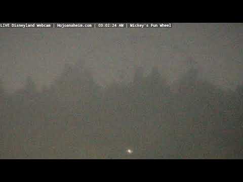 Live webcam of Disneyland Cam