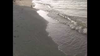 R. Stevie Moore ~ Wayne Wayne (Go Away) (1975)