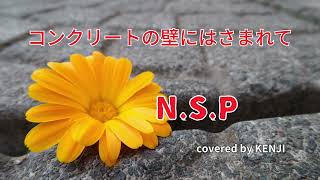 コンクリートの壁にはさまれて