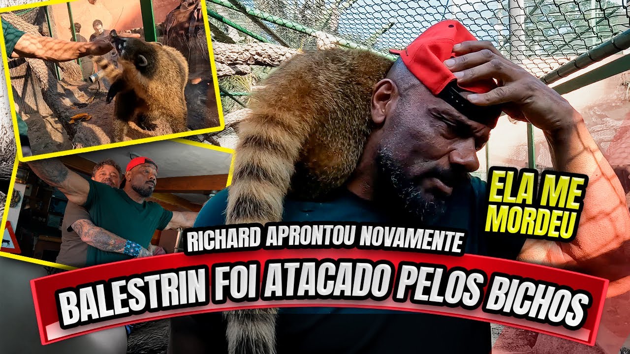 🚨BALESTRIN FOI ATACADO PELOS BICHOS DO RICHARD RASMUSSEN !