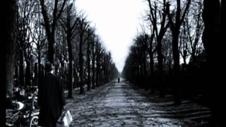 Root - My Name... (HQ)