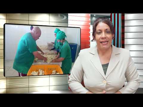 LA SEMANA EN UN REEL (104)