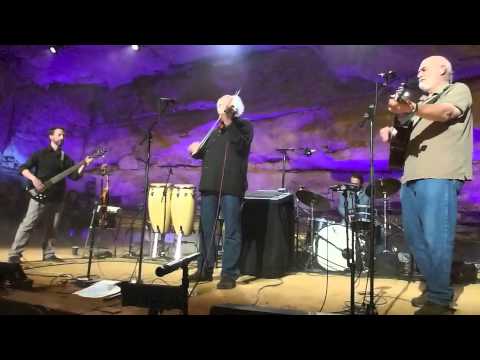 Thumbnail for BeauSoleil, Little Darlin' by BeauSoleil, Michael Doucet, David Doucet, Tommy Alesi
