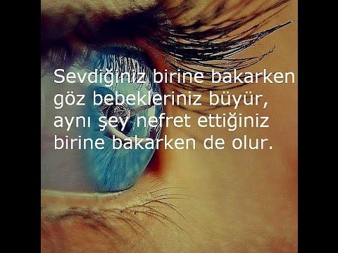 SEKİZZ TV İlginç Bilgiler