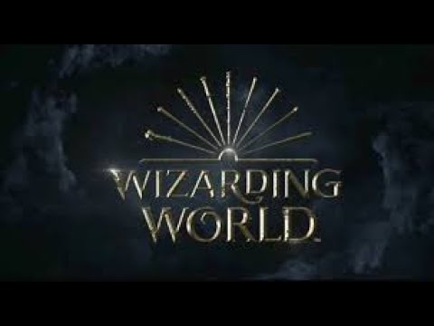 Harry Potter Wands - Kinds of the Wands Wood