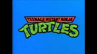 TV Themes - Teenage Mutant Ninja Turtles (Original Version) - NOX Karaoke