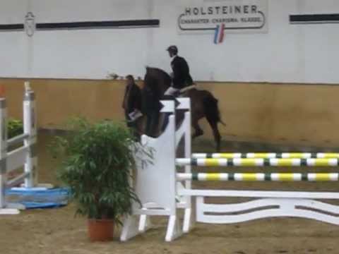 Convall Contender - Lavall Hengst