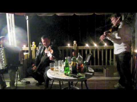 Sergiu Popa Gypsy music in the woods 4 a.m, playing for bears and other animals
