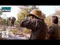 Botswana's Greatest Elephant Hunts