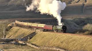 34067 Shines in the Autumn sun on the Northern belle 25 10 2025