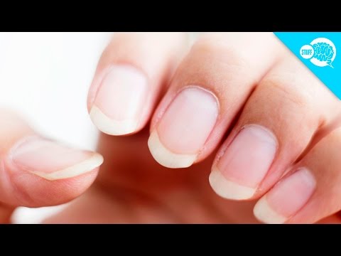 How Long Can Fingernails Grow?