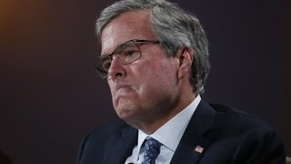 Making Fun Of Jeb Bush For No Reason