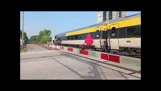 Railfanning At Ridout St In London ON August 8 2025
