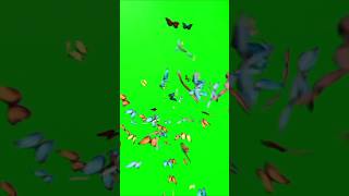Download lagu Butterfly effect green screen use chroma key use this effect #butterfly #greenscreen mp3 Download lagu Butterfly effect green screen use chroma key use this effect #butterfly #greenscreen mp3