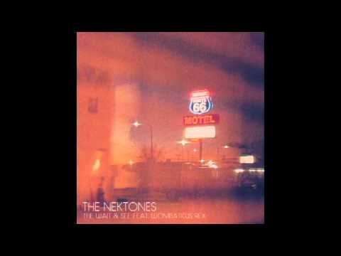 The Wait and See - The Nektones ft. Wombaticus Rex