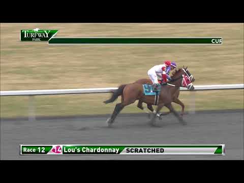 The Kentucky Cup Classic | Race 8 at Turfway Park 03172018
