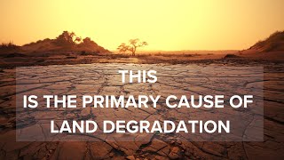 What Drives Land Degradation?