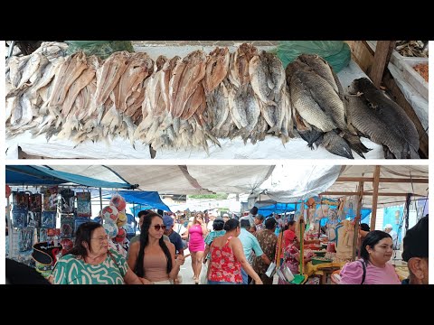 Feira de peixe é côco Palmeirina PE 30/03/2026