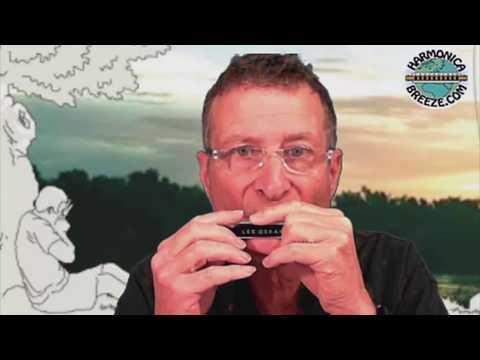 Harmonica Lesson 1 - For Beginners (Tutorial)