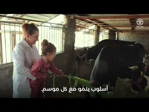 تعزيز الصمود: رحلة منظمة الأغذية والزراعة في العراق نحو تحقيق الأمن الغذائي