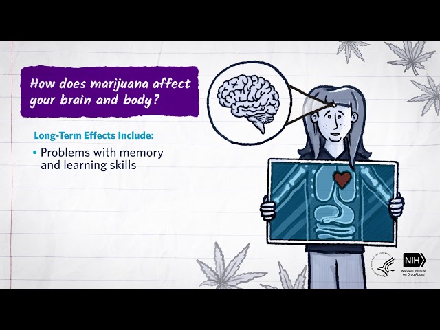 Mind Matters: How Does Marijuana Affect Your Brain and Body?