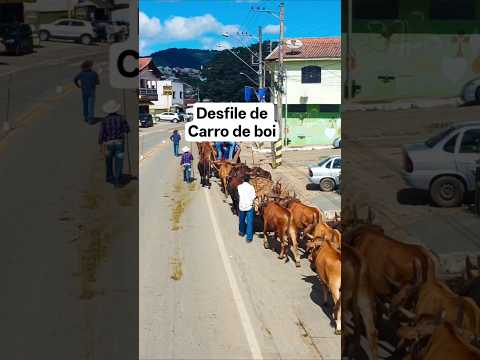 em Ipuiúna MG#encontrodecarreiros #ipuiuna #carrodeboi #viral #minasgerais