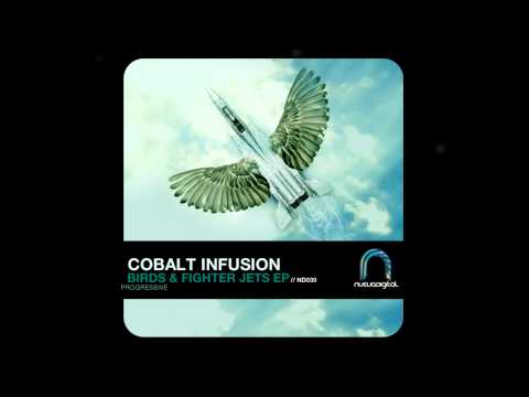 Cobalt Infusion - Birds & Fighter Jets EP