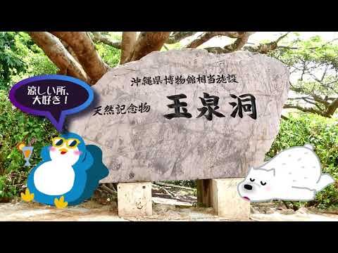 暑い夏に鍾乳洞でひんやり。動画で楽しむ自然のヒーリングスポット（沖縄・玉泉洞）