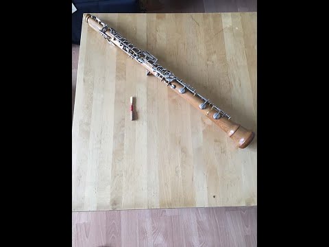 Oboe - Die erste Stunde - Matthias Haase